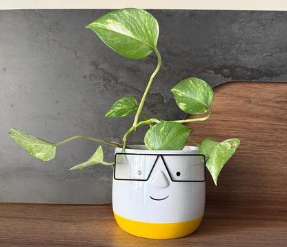 Smarty Face Ceramic Planter