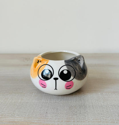 Cute Cat Ceramic Planter